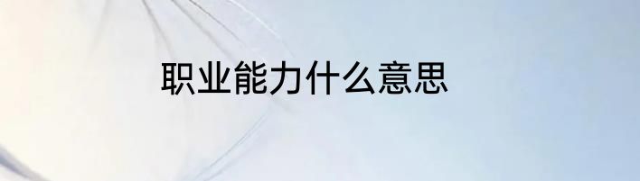 职业能力什么意思