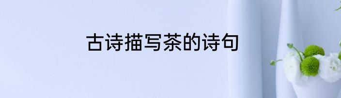 古诗描写茶的诗句