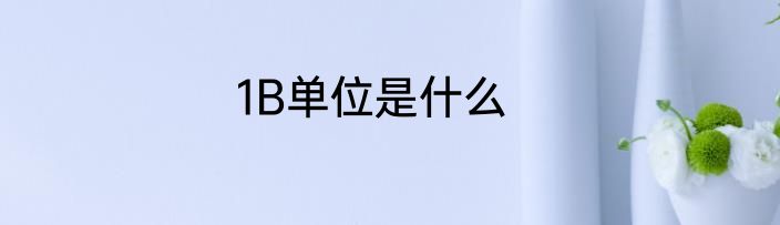 1B单位是什么