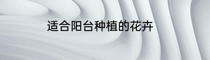 适合阳台种植的花卉