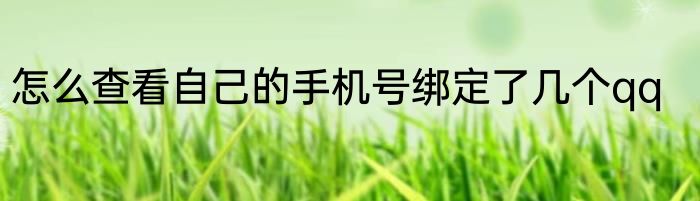 怎么查看自己的手机号绑定了几个qq