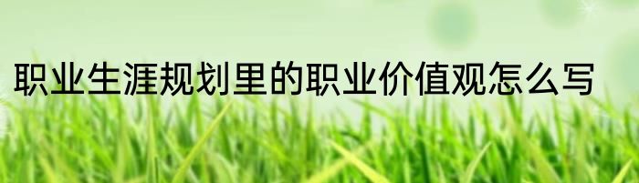 职业生涯规划里的职业价值观怎么写