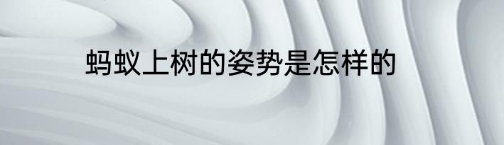 蚂蚁上树的姿势是怎样的