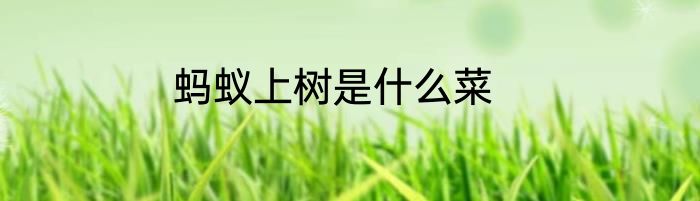 蚂蚁上树是什么菜
