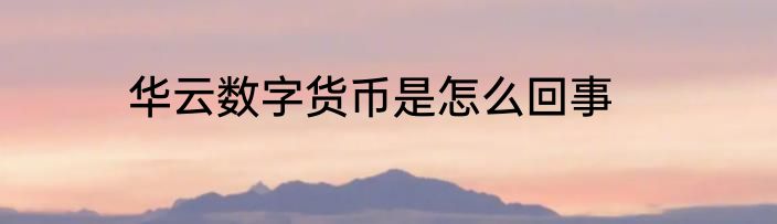 华云数字货币是怎么回事