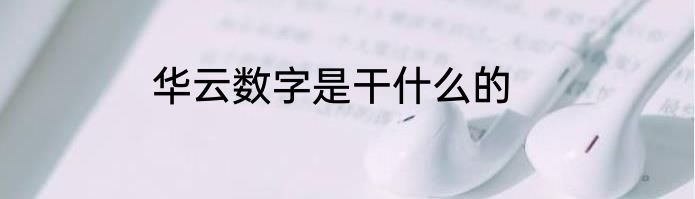 华云数字是干什么的