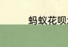 蚂蚁花呗怎么不能充话费