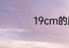 19cm的脚穿几码的鞋
