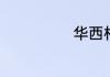 华西村哪里好玩