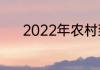 2022年农村致富好项目有哪些