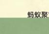 蚂蚁聚宝是什么东西