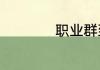职业群到底是什么啊