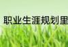 职业生涯规划里的职业价值观怎么写