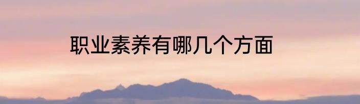 职业素养有哪几个方面