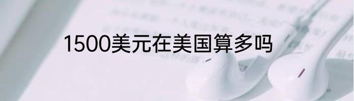 1500美元在美国算多吗