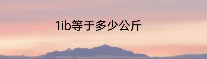 1ib等于多少公斤