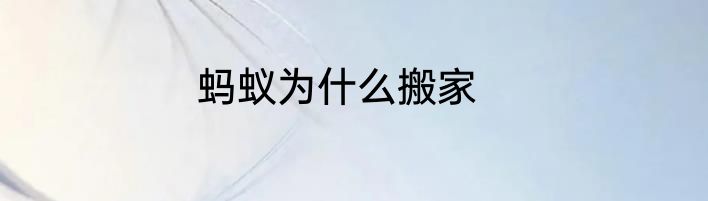 蚂蚁为什么搬家
