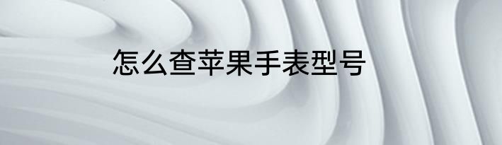 怎么查苹果手表型号