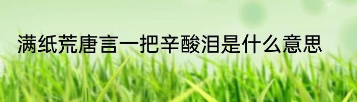 满纸荒唐言一把辛酸泪是什么意思