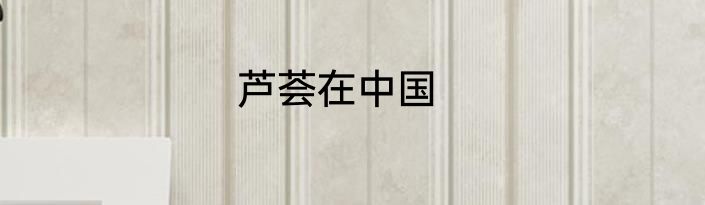 芦荟在中国