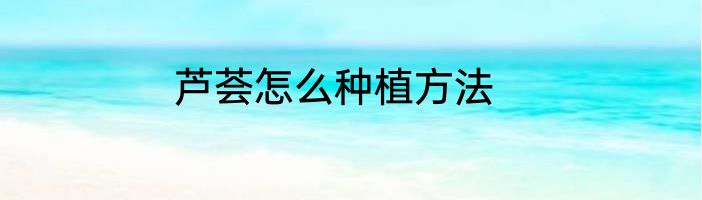 芦荟怎么种植方法