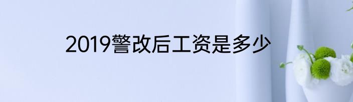 2019警改后工资是多少