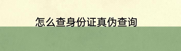 怎么查身份证真伪查询