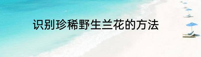 识别珍稀野生兰花的方法