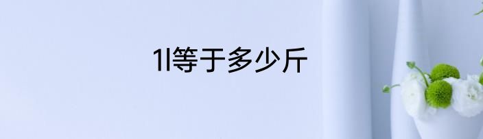 1l等于多少斤