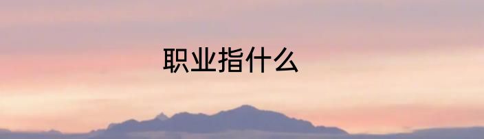 职业指什么