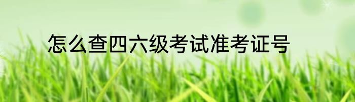 怎么查四六级考试准考证号