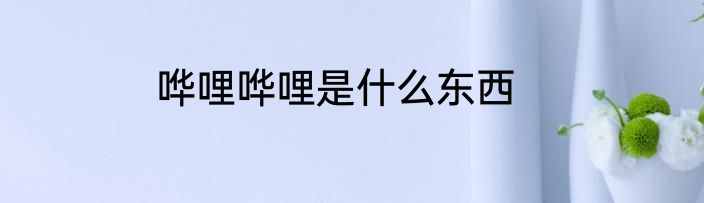 哗哩哗哩是什么东西
