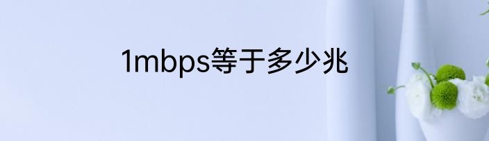 1mbps等于多少兆