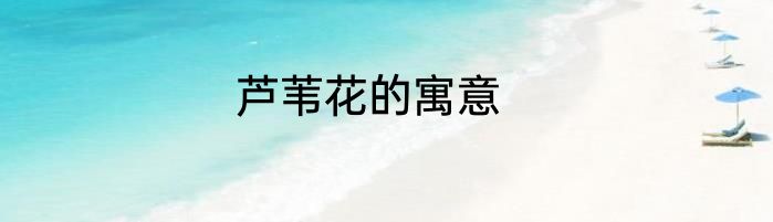 芦苇花的寓意
