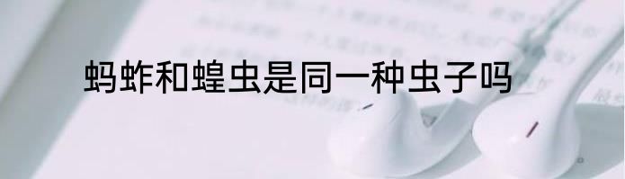 蚂蚱和蝗虫是同一种虫子吗