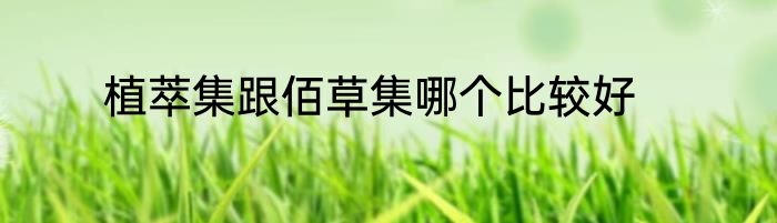 植萃集跟佰草集哪个比较好