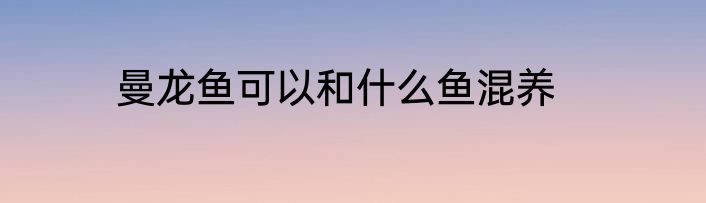 曼龙鱼可以和什么鱼混养