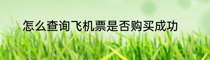 怎么查询飞机票是否购买成功