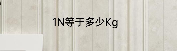 1N等于多少Kg