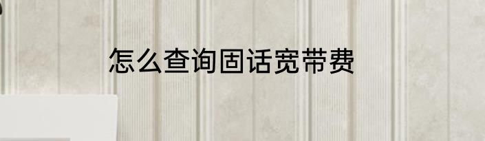 怎么查询固话宽带费
