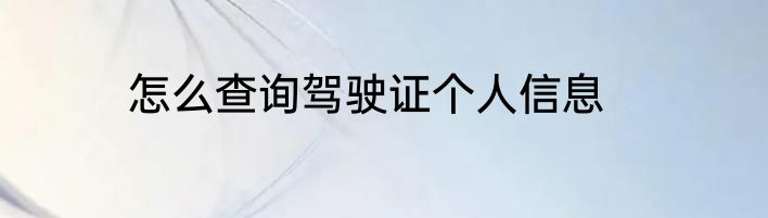 怎么查询驾驶证个人信息