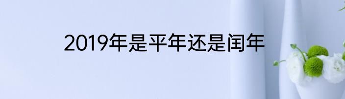 2019年是平年还是闰年