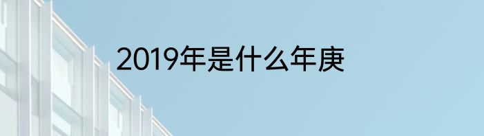 2019年是什么年庚