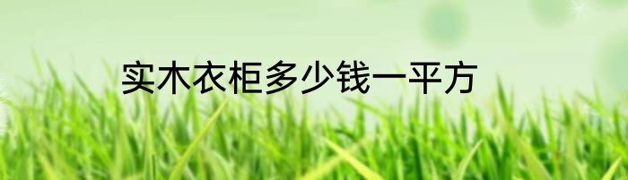 实木衣柜多少钱一平方