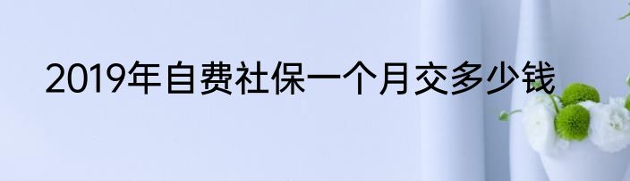 2019年自费社保一个月交多少钱
