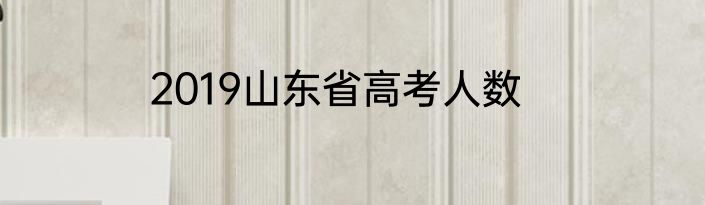 2019山东省高考人数