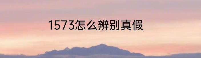 1573怎么辨别真假