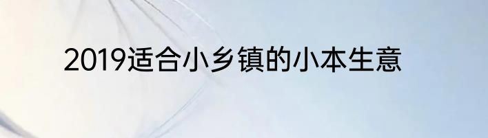 2019适合小乡镇的小本生意