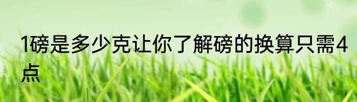 1磅是多少克让你了解磅的换算只需4点