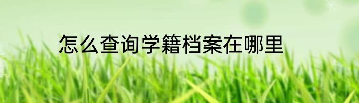 怎么查询学籍档案在哪里